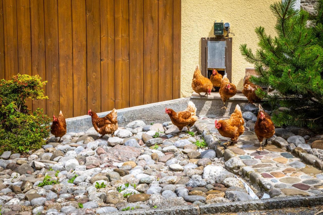 Hinterkellaubauer Bed & Breakfast Kuchl Ngoại thất bức ảnh